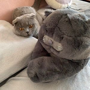 fluffy blue cat long pillow 45”